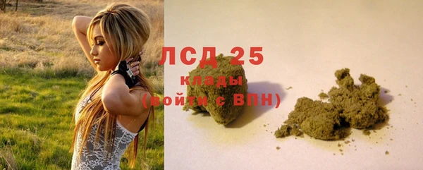 шишки Михайлов