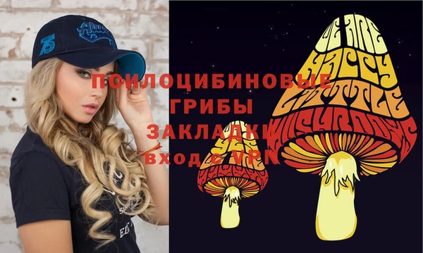 шишки Михайлов