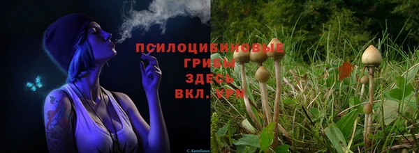 кокс Навашино