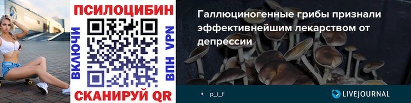 Галлюциногенные грибы Psilocybine cubensis где можно купить наркотик hydra ссылки Лакинск